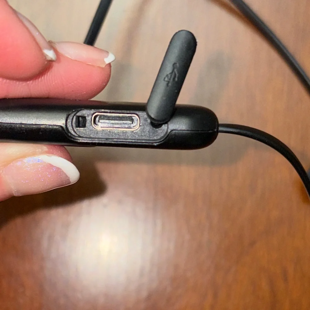 Sony Black Earbud Headphones